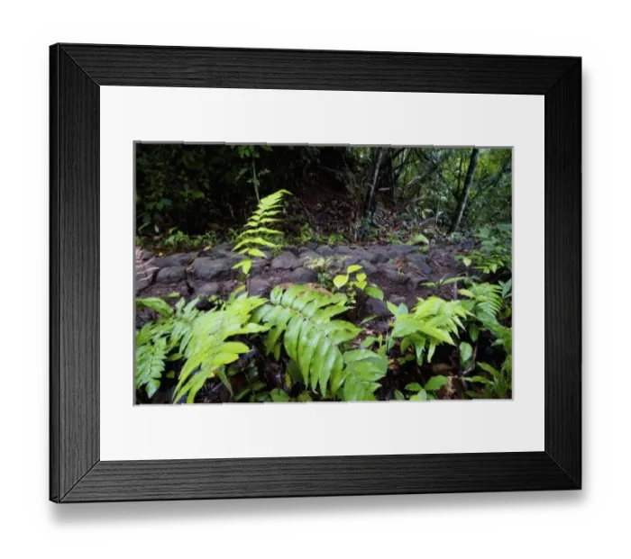 Framed Print : Central America, Panama