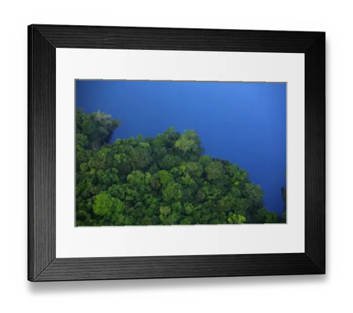 Framed Print : aerial view of tropical lowland forest bordering Lake Gatun, in Soberania National Park Framed Print : aerial view of tropical lowland forest bordering Lake Gatun, in Soberania National Park