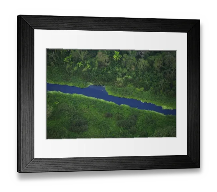 Framed Print : aerial image of tropical forest in the Panama Canal Zone, Panama Framed Print : aerial image of tropical forest in the Panama Canal Zone, Panama
