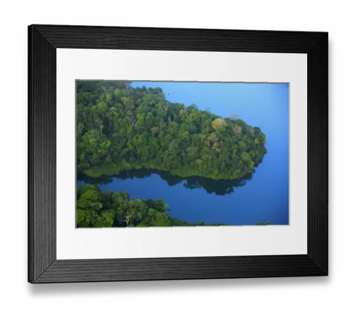 Framed Print : aerial view of tropical lowland forest bordering Lake Gatun, in Soberania National Park Framed Print : aerial view of tropical lowland forest bordering Lake Gatun, in Soberania National Park