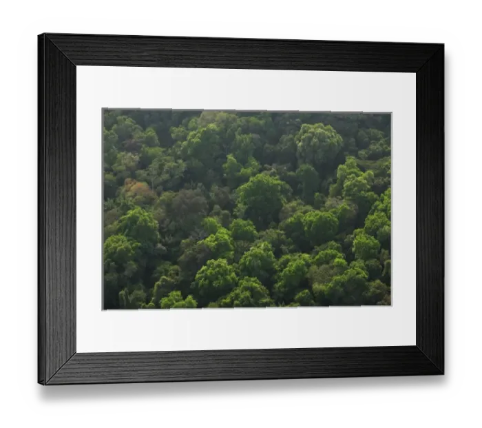 Framed Print : aerial image of Panama Canal Zone, Panama Framed Print : aerial image of Panama Canal Zone, Panama