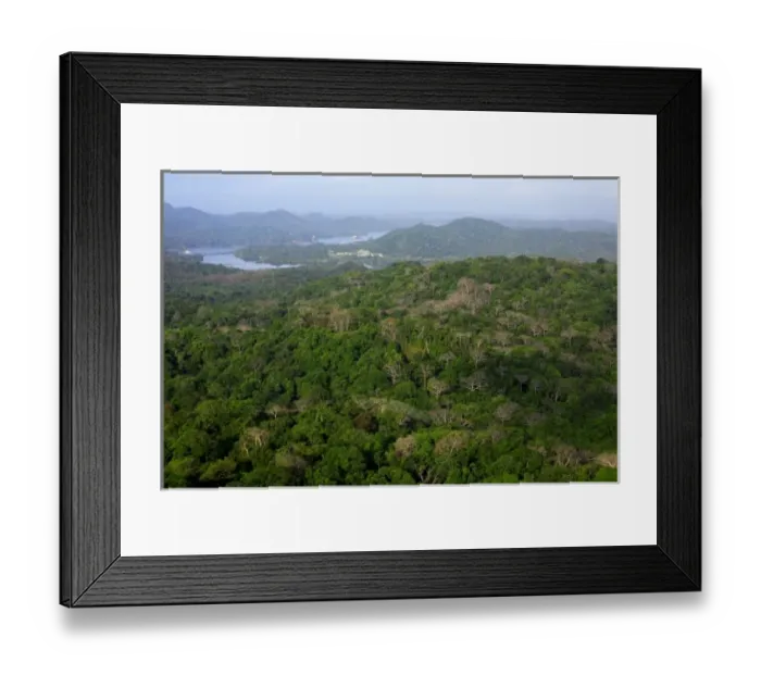Framed Print : aerial image of the Gamboa Rainforest Ressort in Gamboa, Panama Canal Zone, Panama