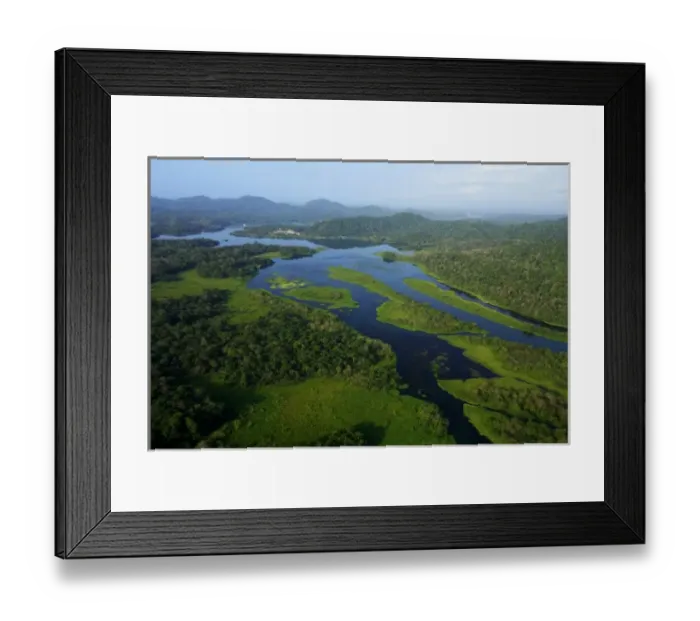 Framed Print : aerial view of tropical lowland forest in Soberania National Park, Panama, Chargres