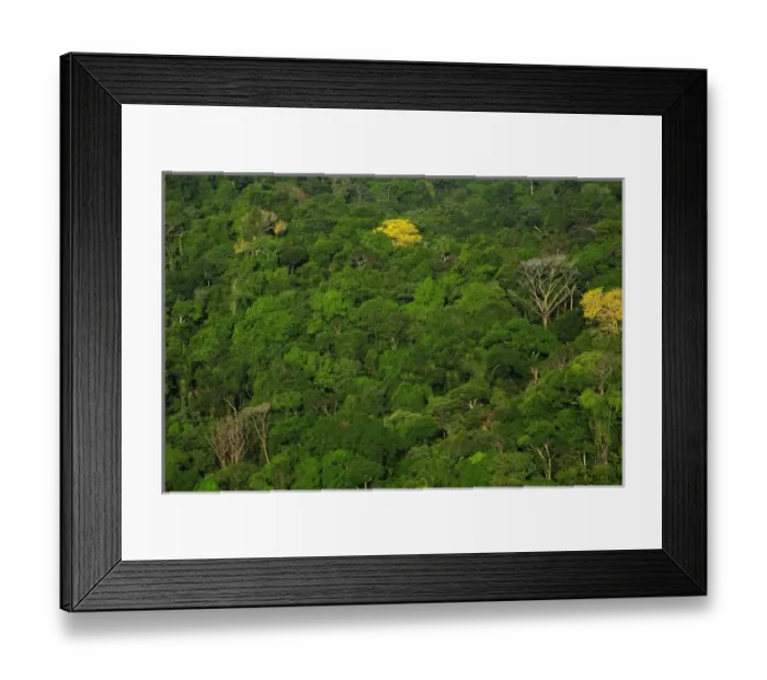 Framed Print : Central America, Panama Framed Print : Central America, Panama