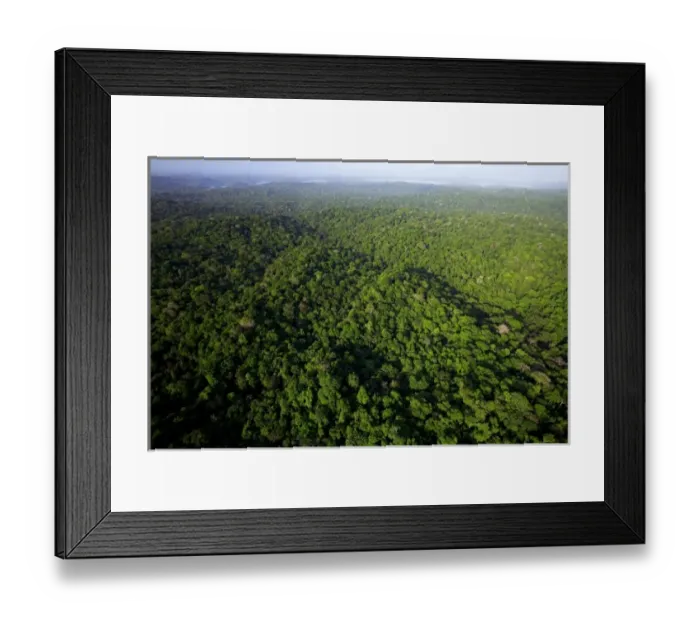 Framed Print : aerial view of tropical lowland forest in Soberania National Park, Panama