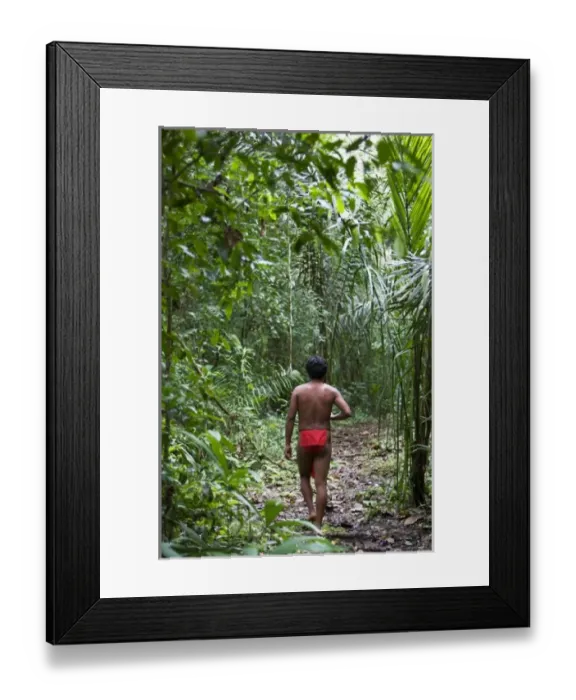 Framed Print : Goa, Panama. A young Wounaan Indian man walking in the rain forest of Panama. (MR)