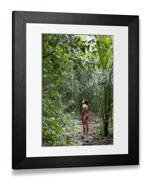 Framed Print : Goa, Panama. A young Wounaan Indian man searching for wildlife in the rain forest of Panama Framed Print : Goa, Panama. A young Wounaan Indian man searching for wildlife in the rain forest of Panama