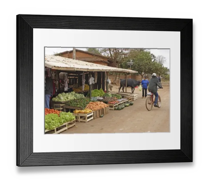 Framed Print : South America, Paraguay