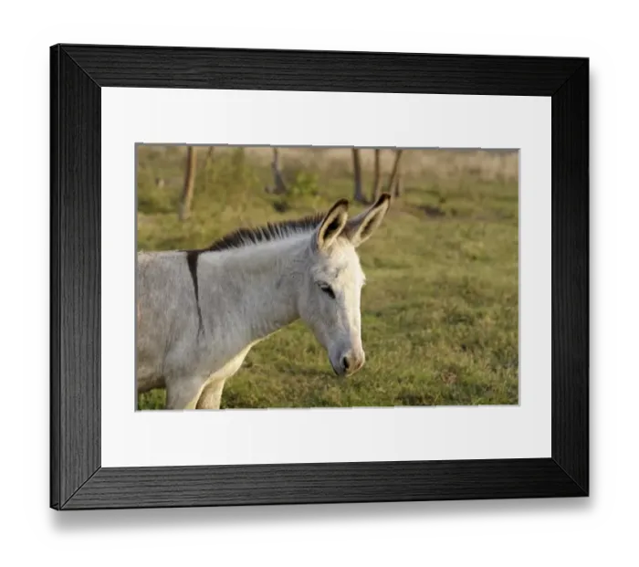 Framed Print : South America, Paraguay