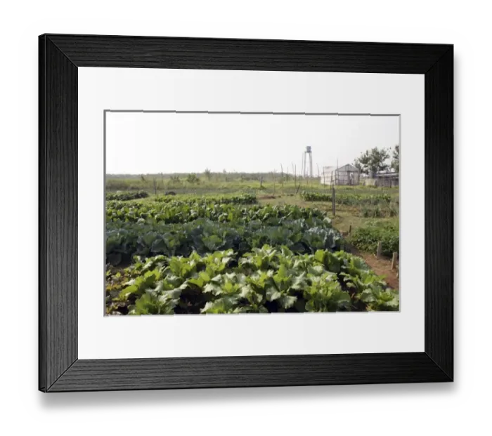 Framed Print : South America, Paraguay
