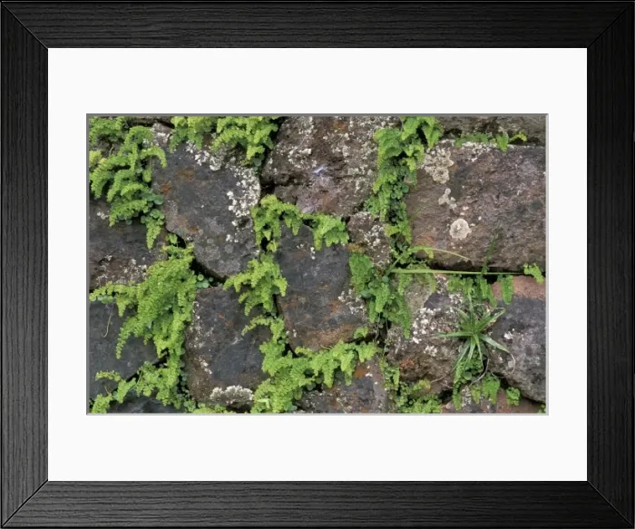 Framed Print : South America, Peru Framed Print : South America, Peru