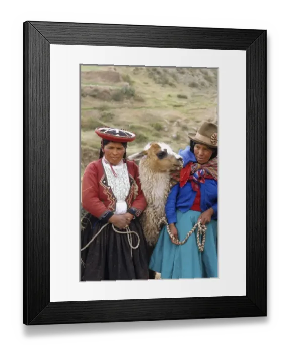 Framed Print : Life in Peru Cuzco in the mountains with native women and their llamas high elevation Framed Print : Life in Peru Cuzco in the mountains with native women and their llamas high elevation