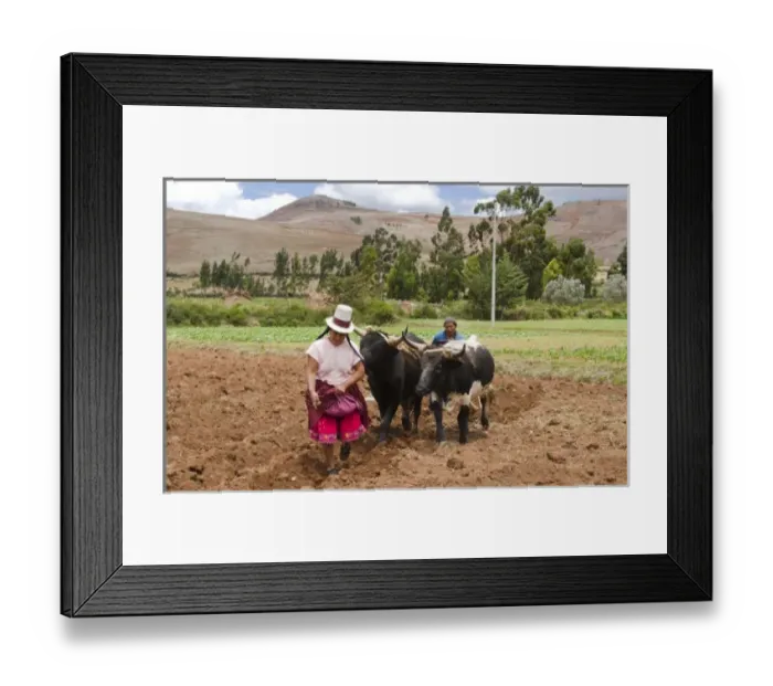 Framed Print : South America, Peru Framed Print : South America, Peru