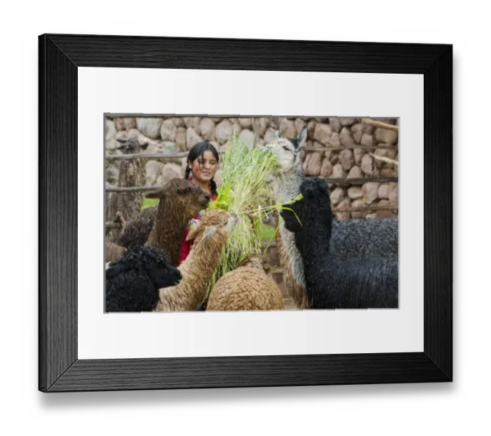 Framed Print : South America, Peru Framed Print : South America, Peru