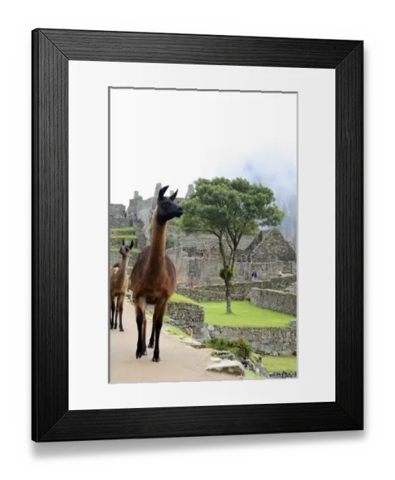 Framed Print : South America, Peru Framed Print : South America, Peru