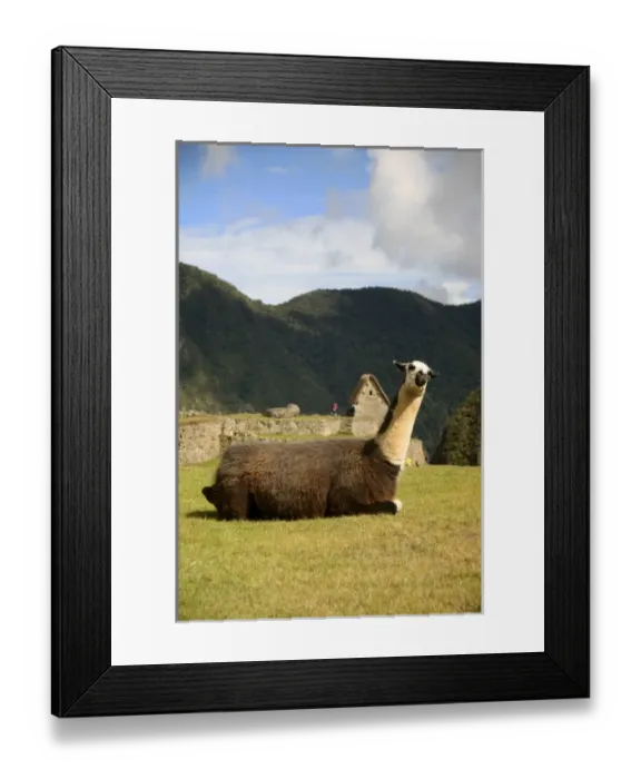 Framed Print : South America, Peru Framed Print : South America, Peru