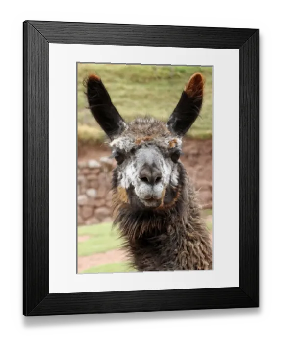 Framed Print : South America, Peru Framed Print : South America, Peru