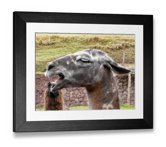 Framed Print : South America, Peru