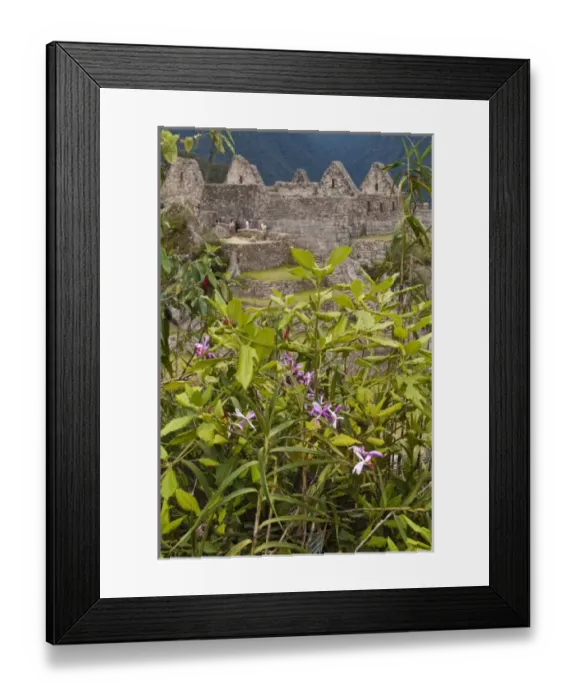 Framed Print : South America, Peru Framed Print : South America, Peru