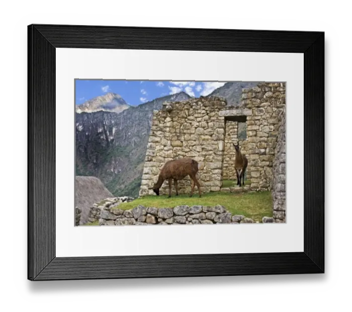 Framed Print : South America, Peru Framed Print : South America, Peru