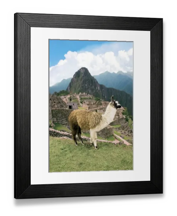 Framed Print : South America, Peru Framed Print : South America, Peru