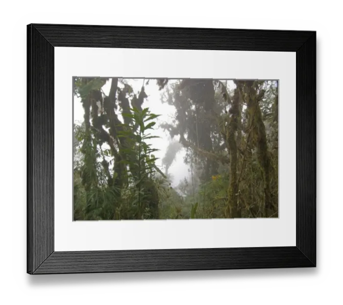 Framed Print : South America, Peru