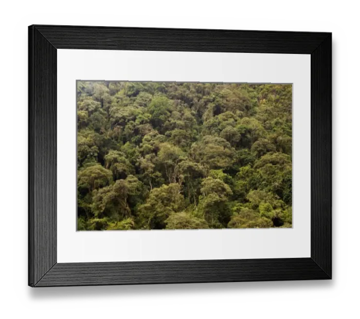 Framed Print : South America, Peru Framed Print : South America, Peru