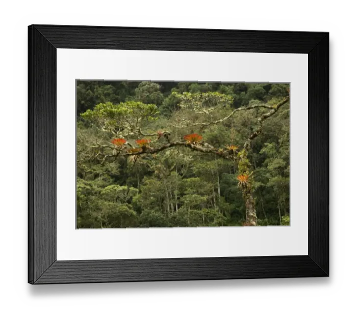 Framed Print : South America, Peru Framed Print : South America, Peru