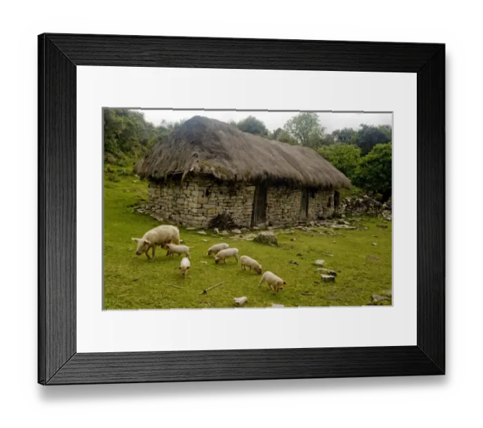 Framed Print : South America, Peru Framed Print : South America, Peru