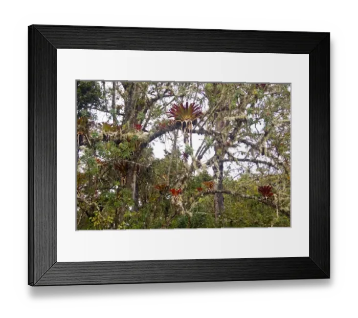 Framed Print : South America, Peru Framed Print : South America, Peru