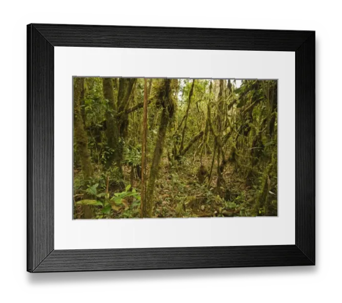 Framed Print : South America, Peru Framed Print : South America, Peru