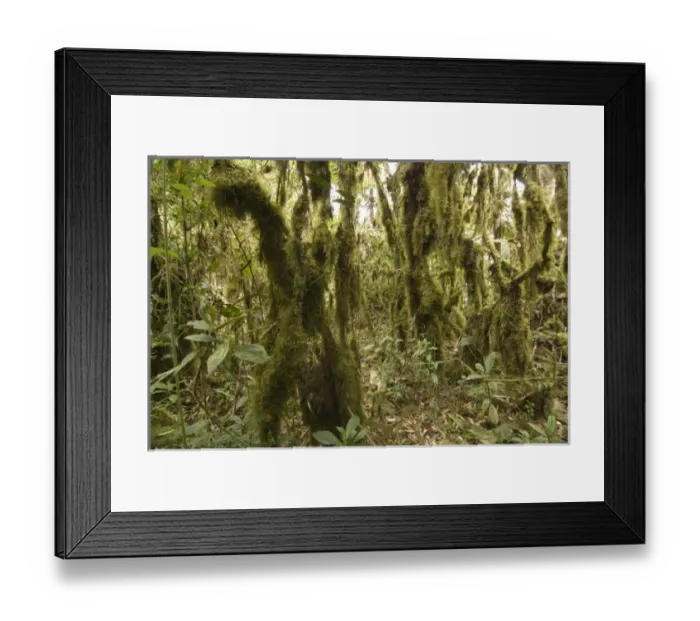 Framed Print : South America, Peru Framed Print : South America, Peru