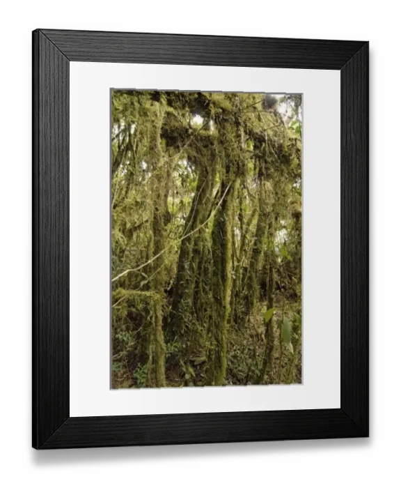 Framed Print : South America, Peru Framed Print : South America, Peru