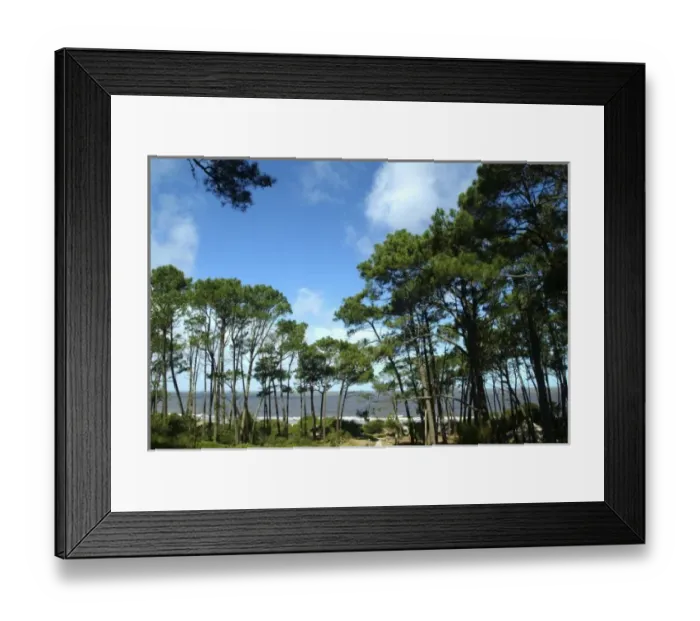 Framed Print : Uruguay, Atlantida, posada Santa Rosa, Pine-wood and the sea Framed Print : Uruguay, Atlantida, posada Santa Rosa, Pine-wood and the sea
