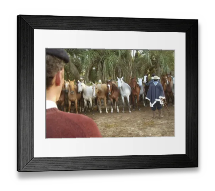 Framed Print : South America, Uruguay
