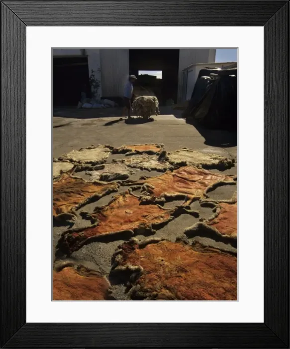 Framed Print : South America, Uruguay, Florida Framed Print : South America, Uruguay, Florida