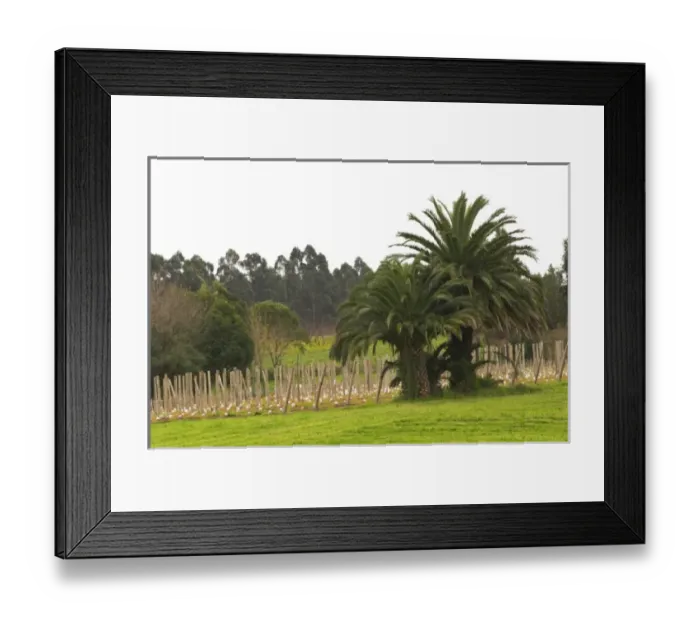 Framed Print : South America, Uruguay
