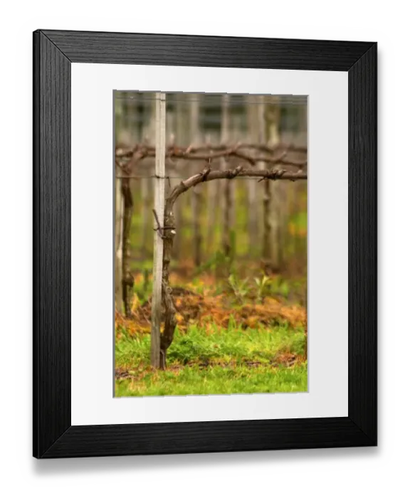 Framed Print : South America, Uruguay