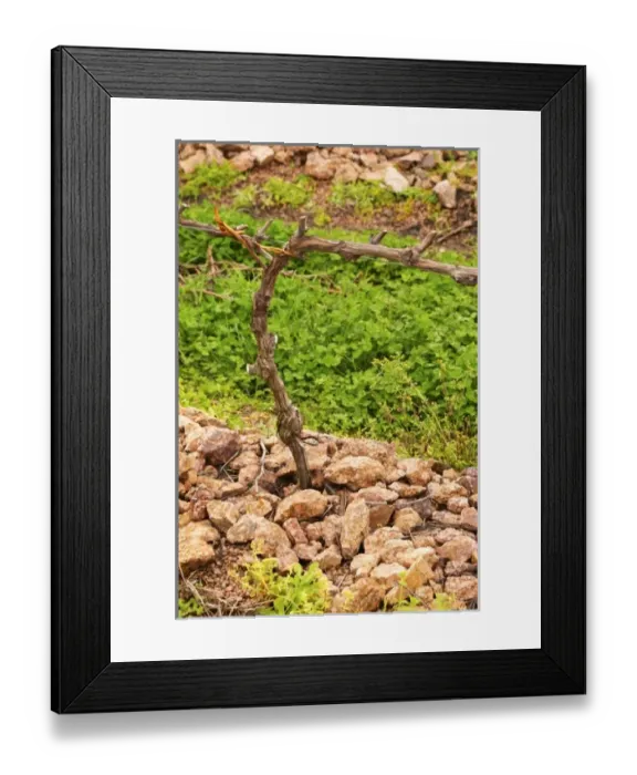 Framed Print : South America, Uruguay