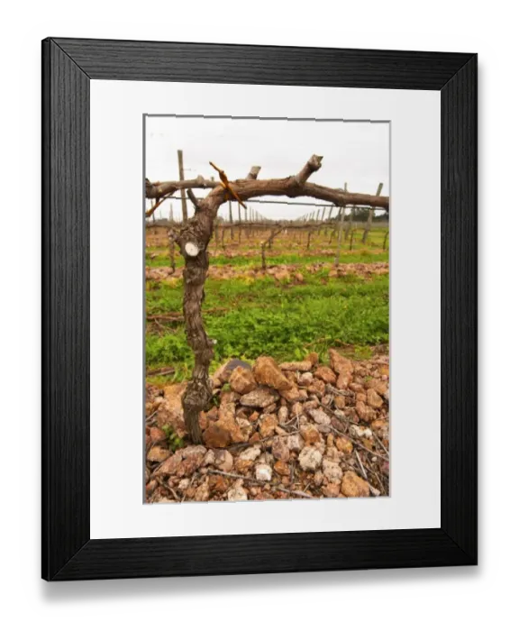 Framed Print : South America, Uruguay Framed Print : South America, Uruguay