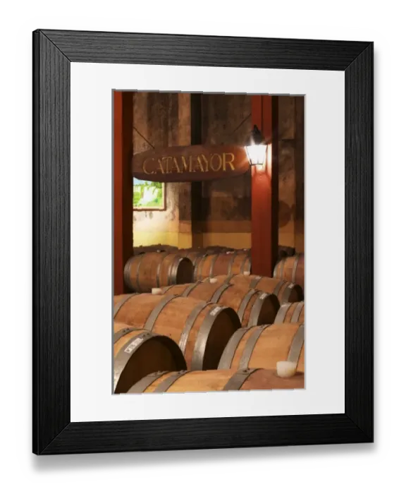 Framed Print : Barrels for storing the wine in wood A sign saying Catamayor. Bodega Castillo Viejo Winery Framed Print : Barrels for storing the wine in wood A sign saying Catamayor. Bodega Castillo Viejo Winery