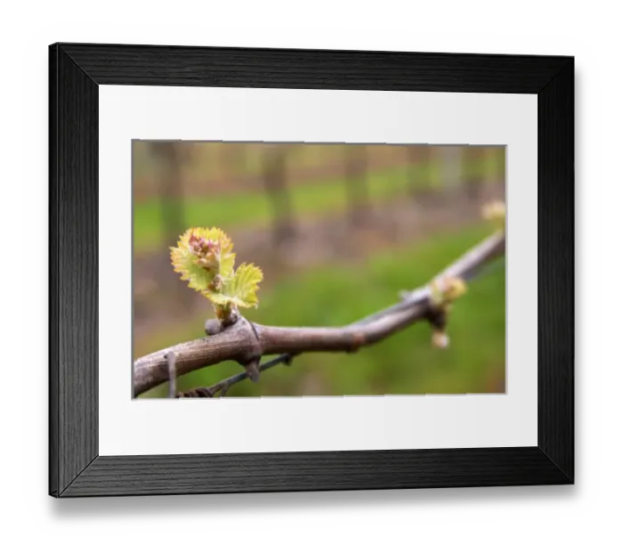 Framed Print : South America, Uruguay Framed Print : South America, Uruguay