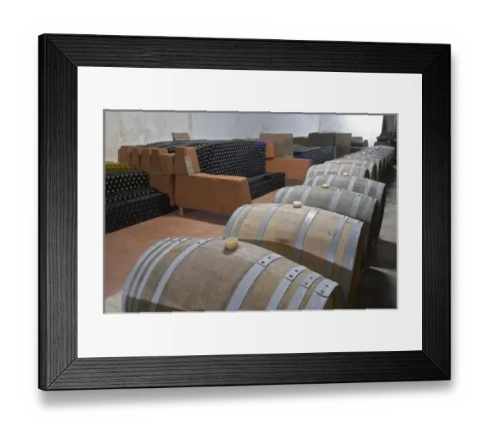 Framed Print : The underground ageing cellar with thousands of bottles and oak barrels for aging the wine Framed Print : The underground ageing cellar with thousands of bottles and oak barrels for aging the wine