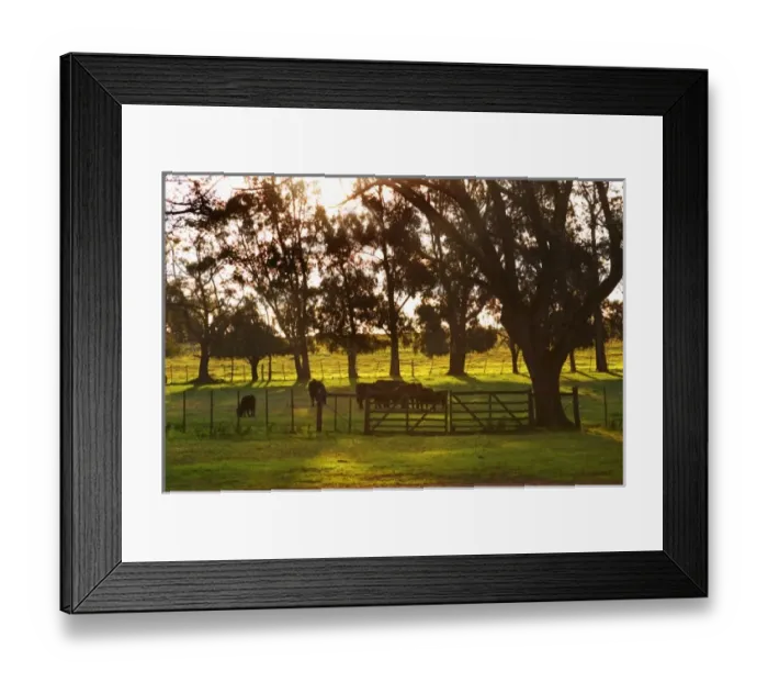 Framed Print : South America, Uruguay