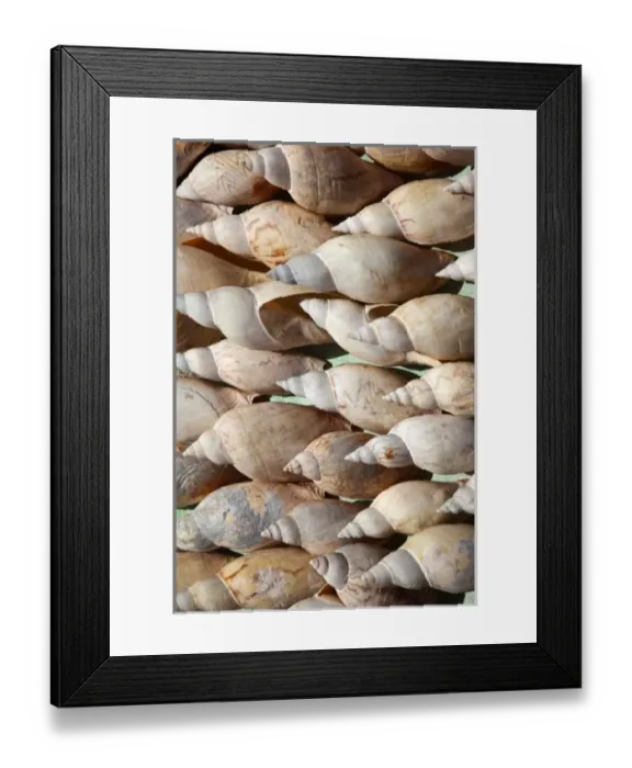 Framed Print : South America, Uruguay