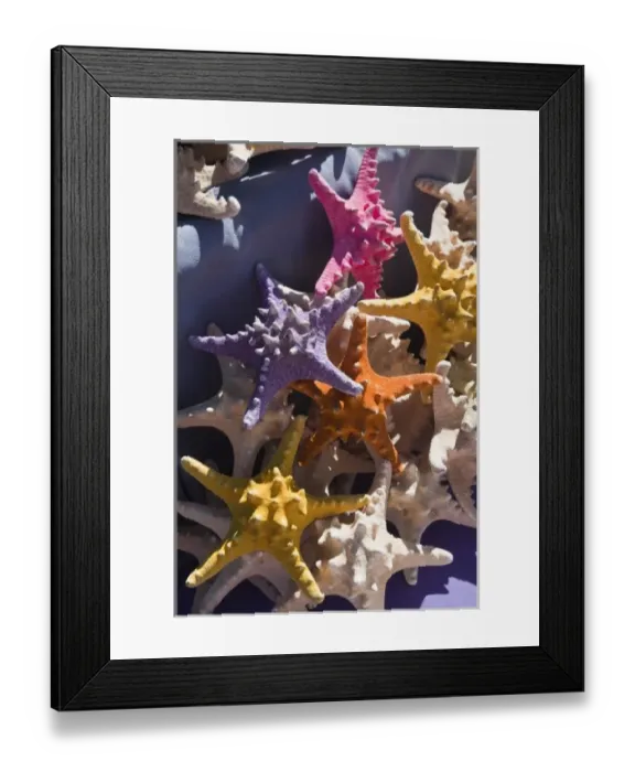 Framed Print : Uruguay, Maldonado Department, Punta del Este. Starfish souvenirs Framed Print : Uruguay, Maldonado Department, Punta del Este. Starfish souvenirs