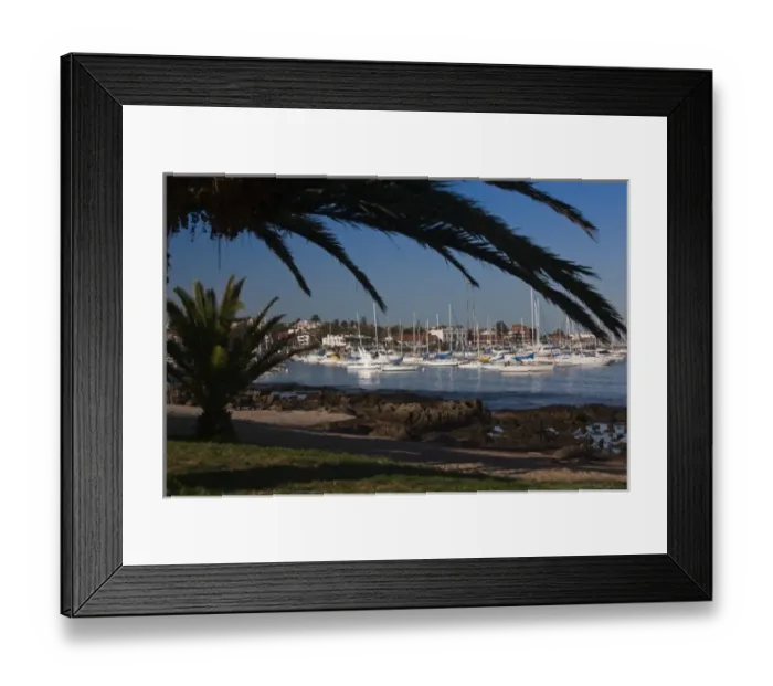 Framed Print : Uruguay, Maldonado Department, Punta del Este. Yacht Harbor, morning