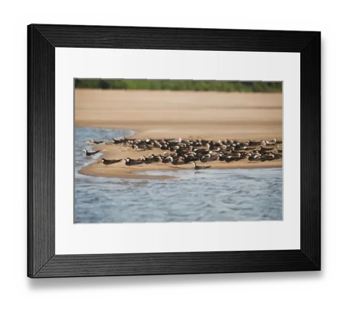 Framed Print : South America, Venezuela Framed Print : South America, Venezuela