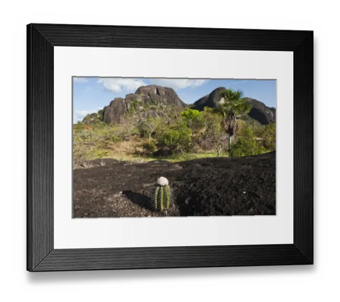 Framed Print : South America, Venezuela Framed Print : South America, Venezuela