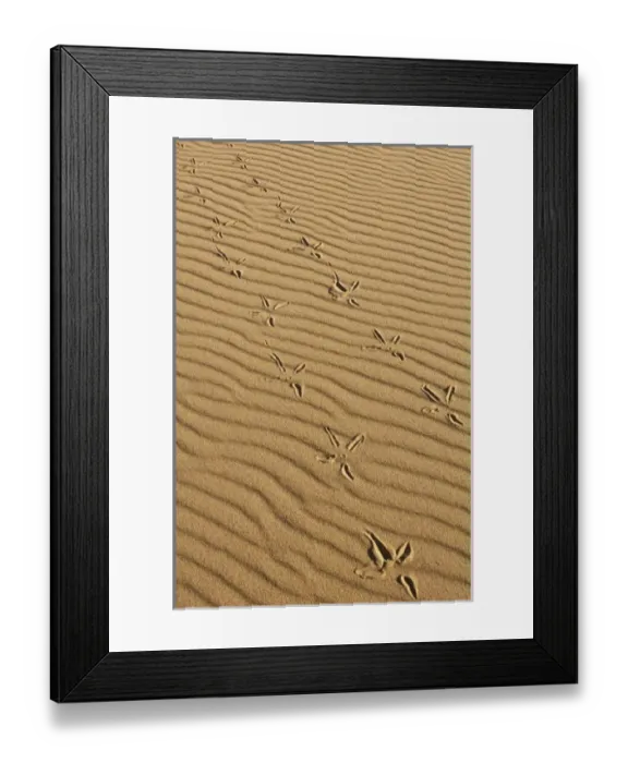 Framed Print : South America, Venezuela Framed Print : South America, Venezuela